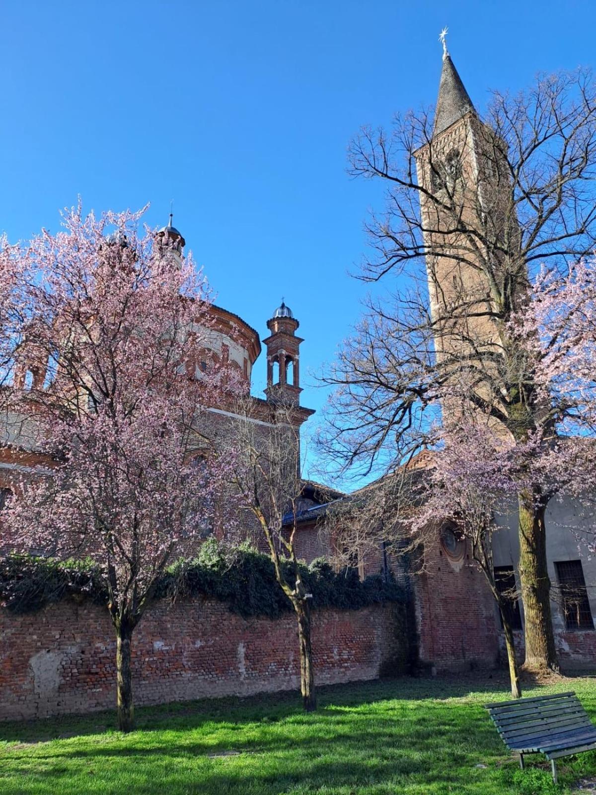 Milano Vetra-Parco Delle Basiliche 2 Pax- Wifi- Banfi Leilighet Eksteriør bilde